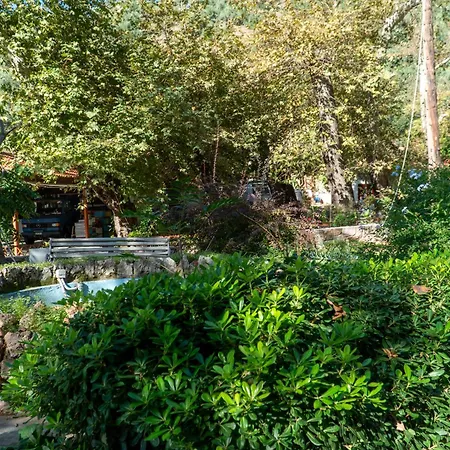 Pagona شقة فندقية 2*